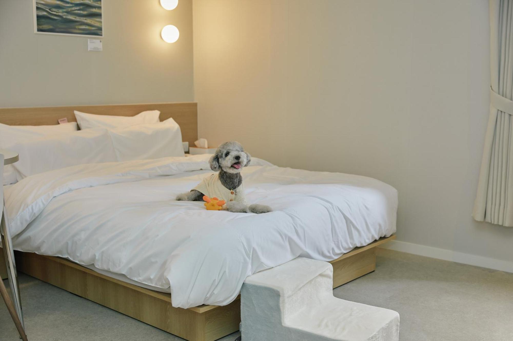 Aank Hotel Incheon Songdo Buitenkant foto